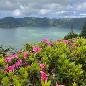 Meet your Posher, Lety